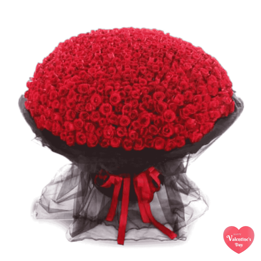 365 Luxury Red Roses Stalks Every Day with You - Buket Bunga Mawar