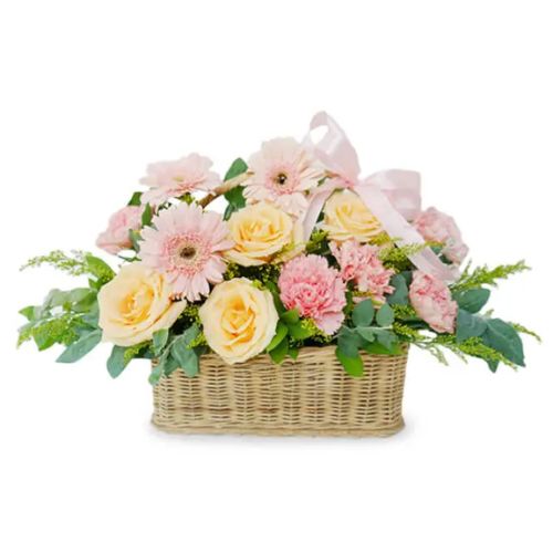 Keranjang Bunga Gerbera, Mawar dan Carnations - Blossoming Loves