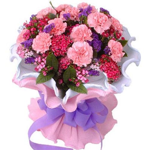 Buket Bunga Carnations - Beautiful Carnations