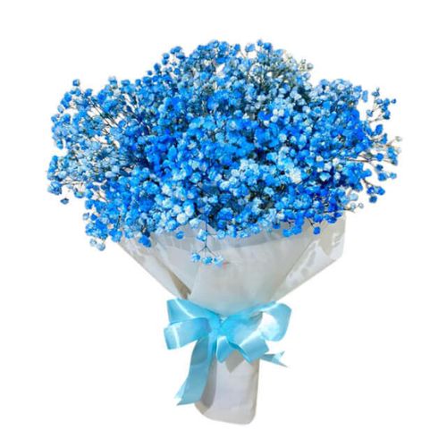 Buket Baby Breath Biru - Ocean Dream