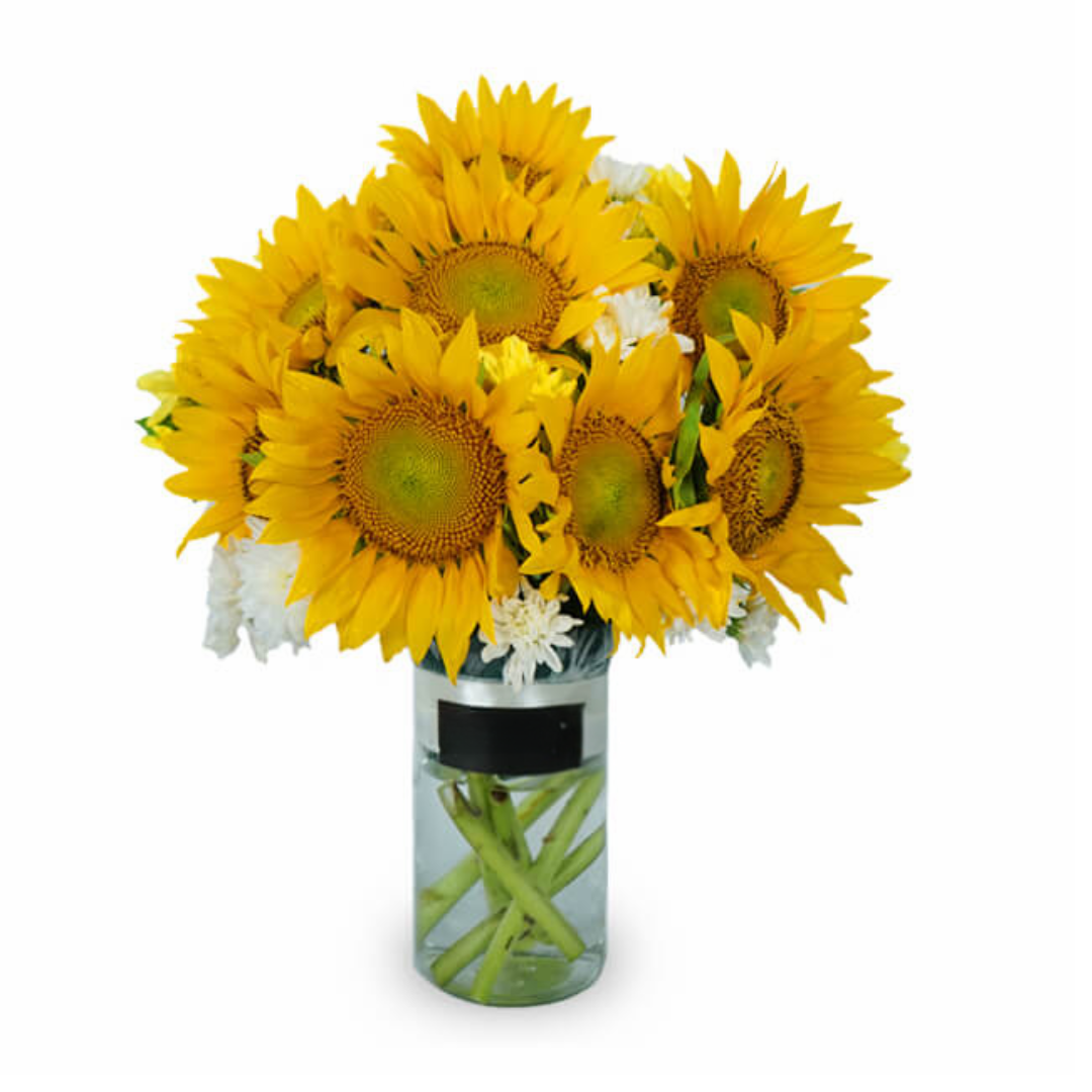 Ray of Sun - Sunflower Vase Arrangement