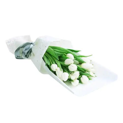 Tulips Bloom Breeze - Buket Bunga Tulip Hadiah Valentine