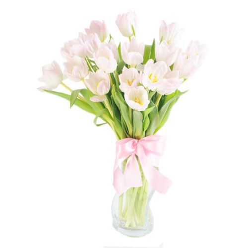 Bunga Tulip White Diamond - Valentine Arrangement