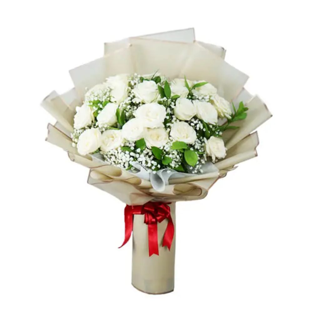 keindahan Mawar Putih yang Menawan - Wonder Winter White Rose