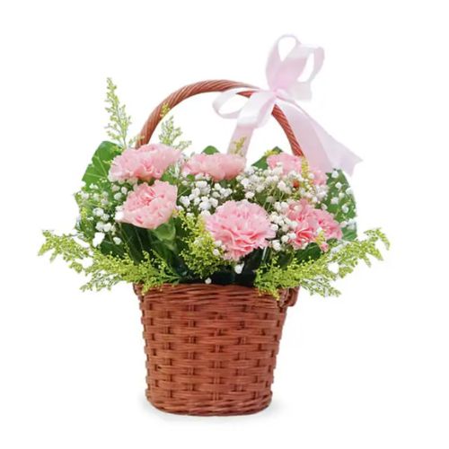 Basket Flowers Carnations - Petal Dreams